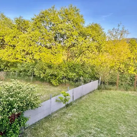 Good Day 4* Kolozsvár