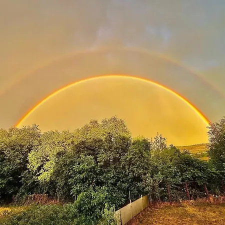 Good Day Πανσιόν Κλουζ-Ναπόκα