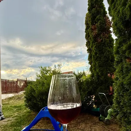 Good Day Πανσιόν Κλουζ-Ναπόκα