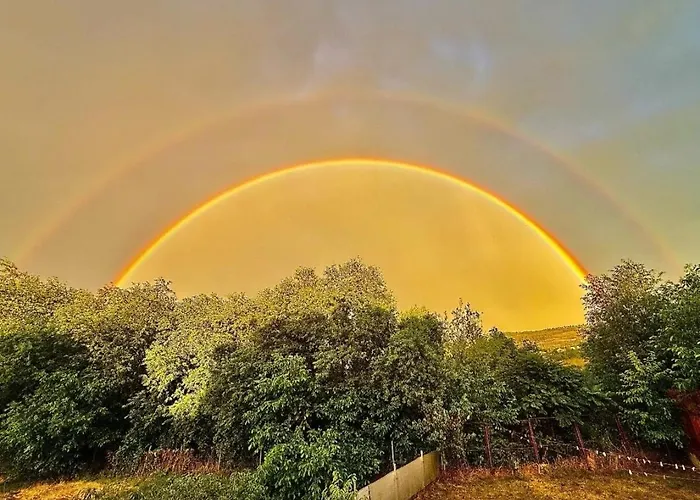 Good Day Pensiune Cluj-Napoca