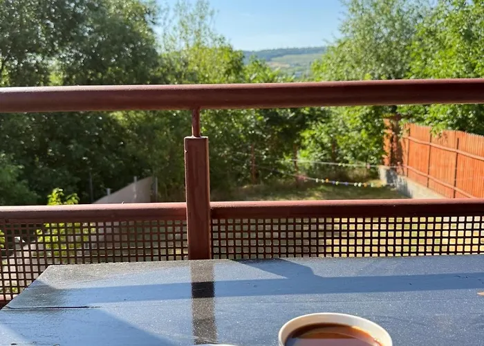 Good Day Pensiune 4*