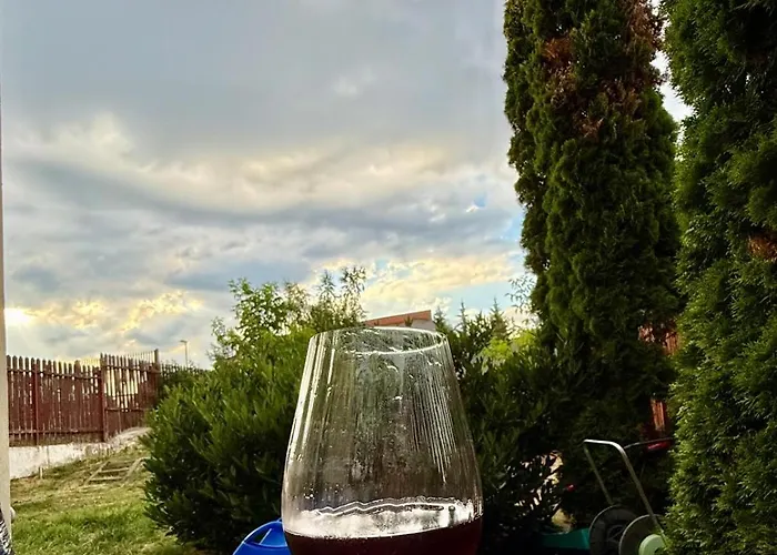 Good Day Pensiune Cluj-Napoca